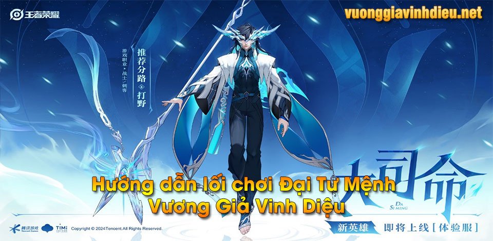 Đại Tư Mệnh VGVD