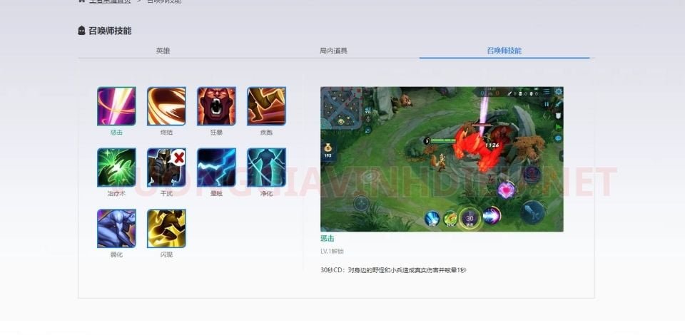 Kỹ năng triệu hồi