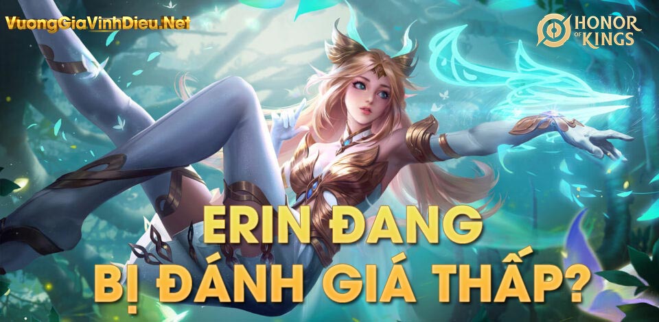 Bí quyết chơi Erin VGVD