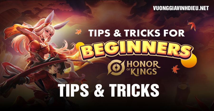Tips and Tricks VGVD